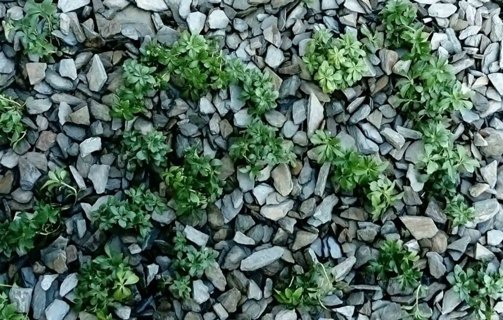 Kora kamienna – sort 18-40 mm